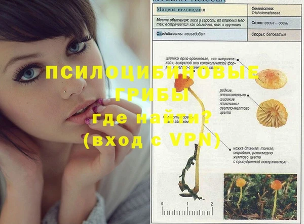 амф Богородицк