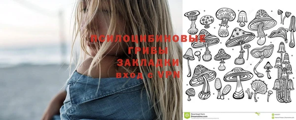Альфа ПВП Богданович