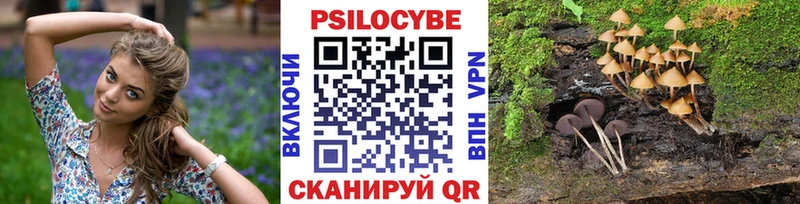 Галлюциногенные грибы мицелий  цены наркотик  Пыть-Ях 