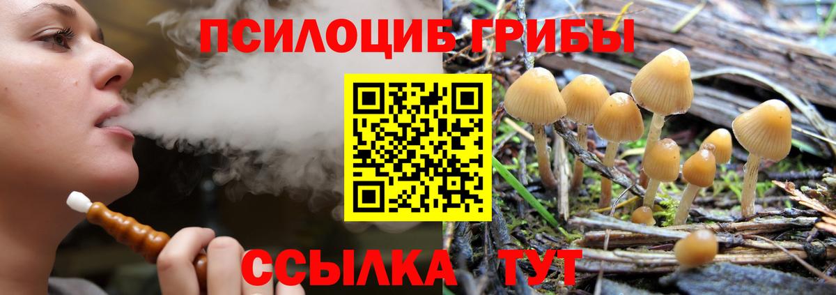 Псилоцибиновые грибы мухоморы Пыть-Ях