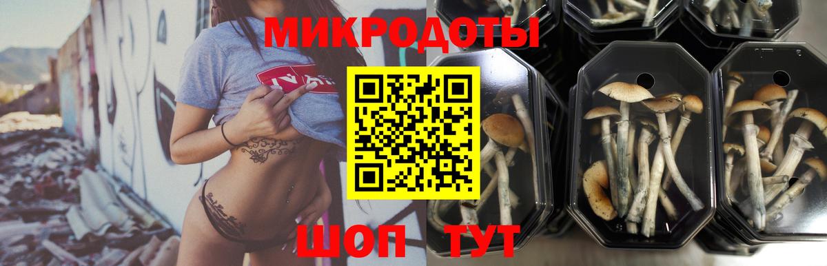 Пыть-Ях  Псилоцибиновые грибы MAGIC MUSHROOMS  Вход с VPN 